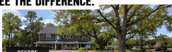Property before tree work